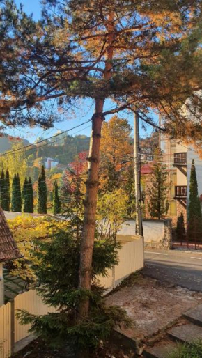 Central Luxury Apartment with City View Braşov
